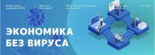 Экономика без вируса