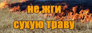 О недопустимости сжигания травы!